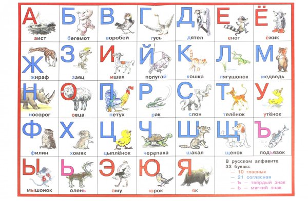 Азбука и животные