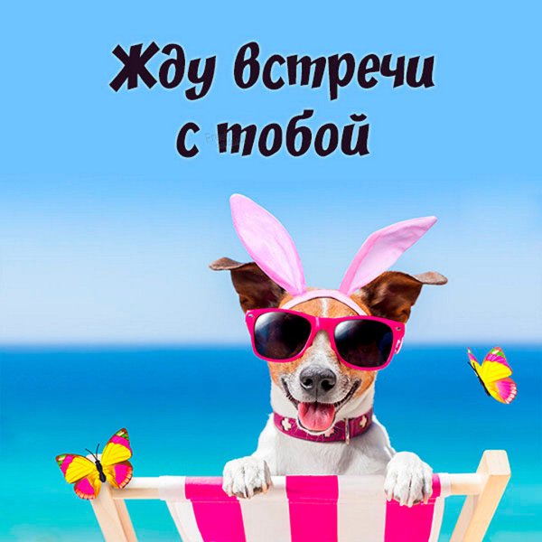 Открытки жду встречи