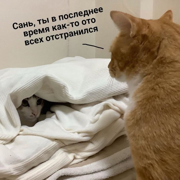 Вставай картинки прикольные