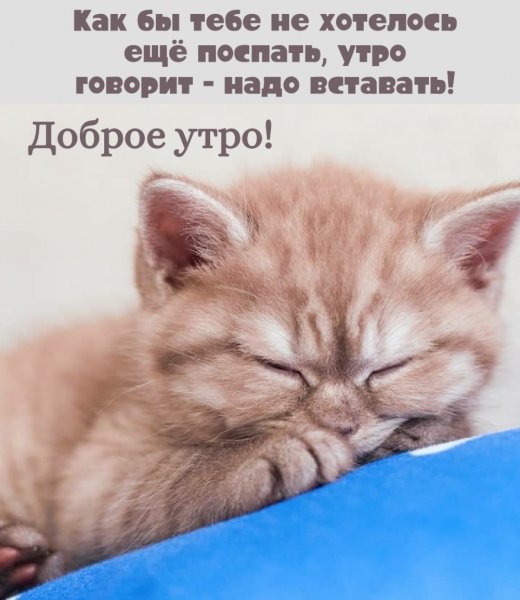 Доброе утро еще сплю