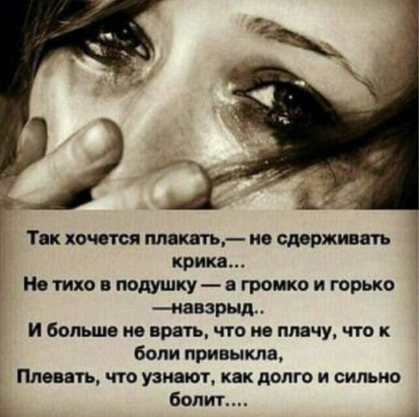 Кот плачет