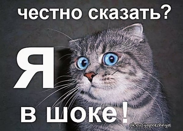Ты лох