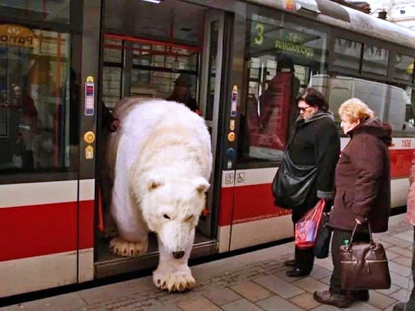 No Pants Subway Ride Москва
