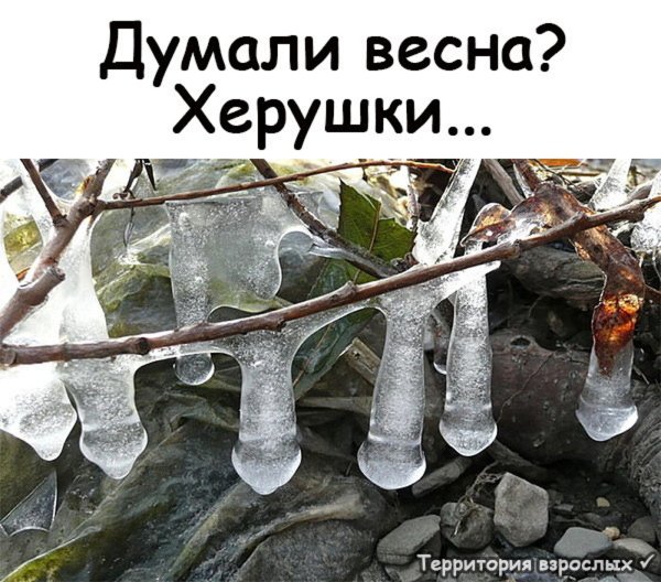 Зима в Питере шутки