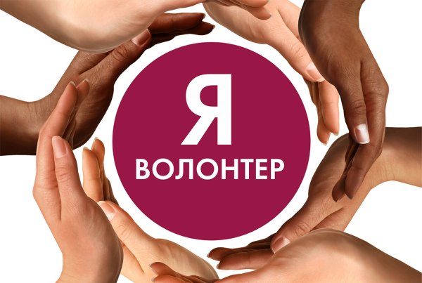 Волонтеры и НКО