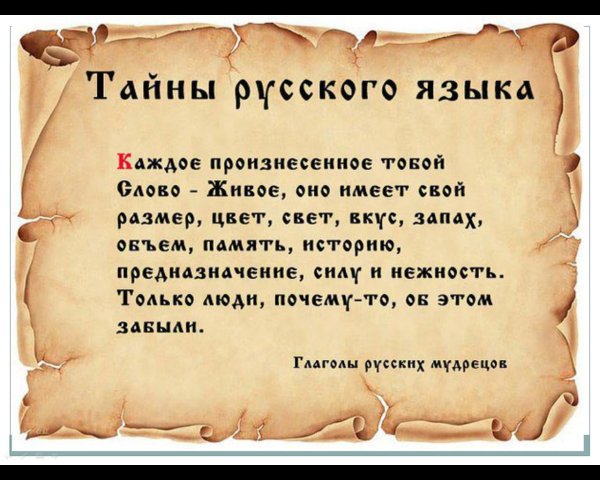 Ваши предложения и пожелания