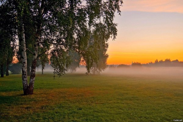 Природа нашей Родины