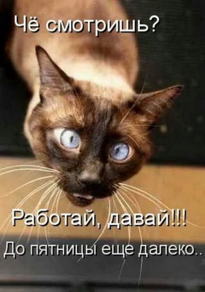 Картинки с надписями