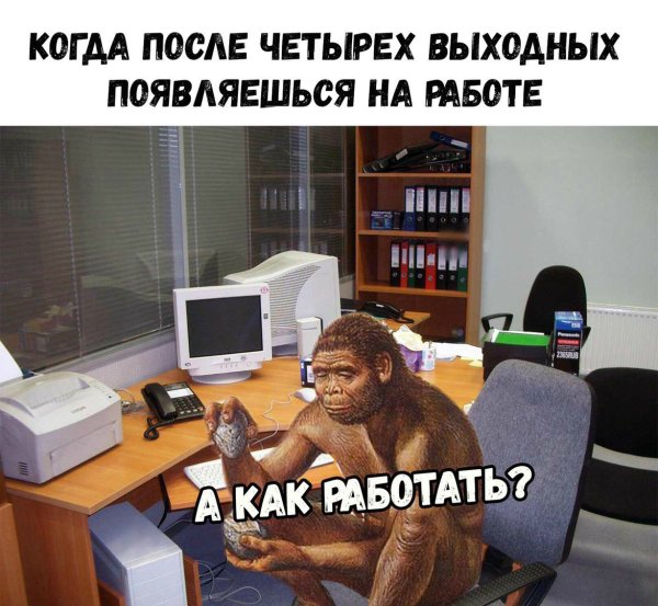 Смешные мемы про работу