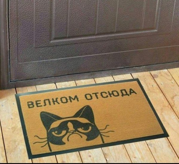 Смешные КОКОВРИКИ смнадписями