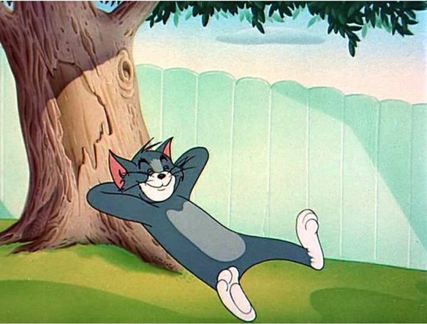 Кот том лежит