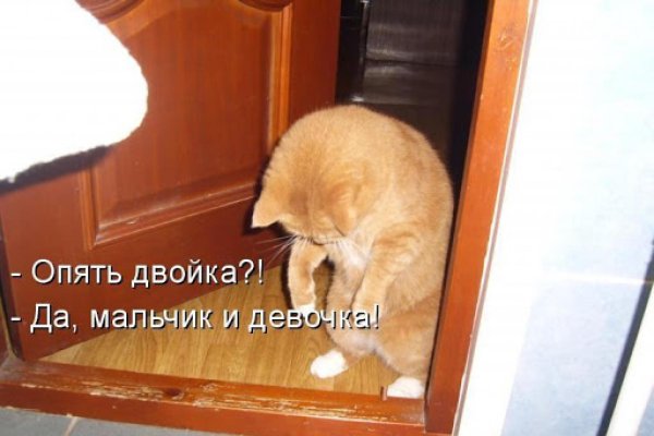Олень живой