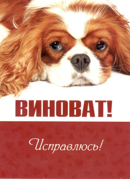 Я не обижаюсь на тебя