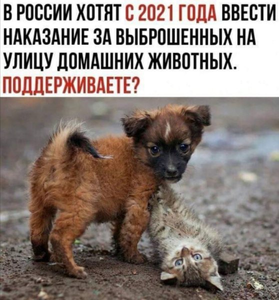 Вилли Вонка танец
