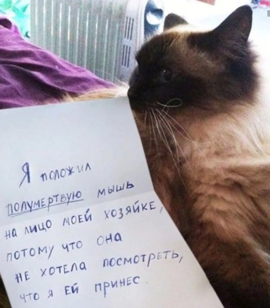 Ты плохой человек