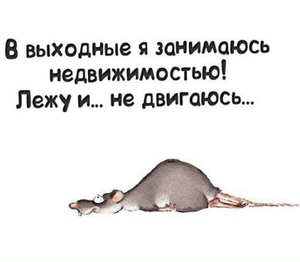Высказывания про выходные