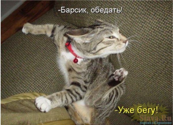 Приколы с надписями