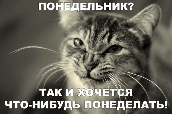 Завтра понедельник