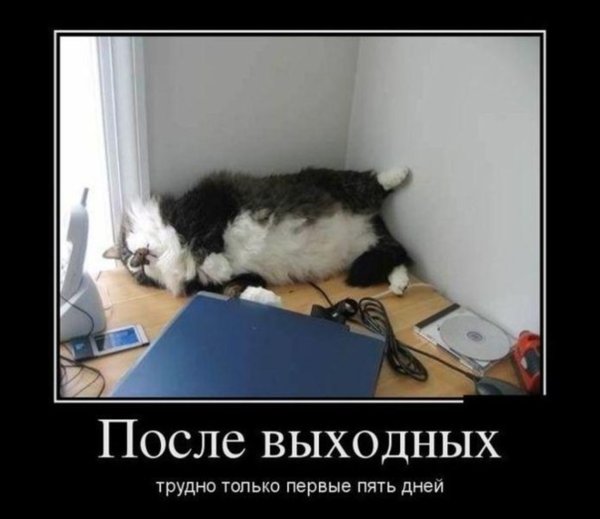 После выходных