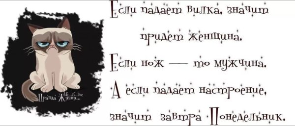 Завтра понедельник