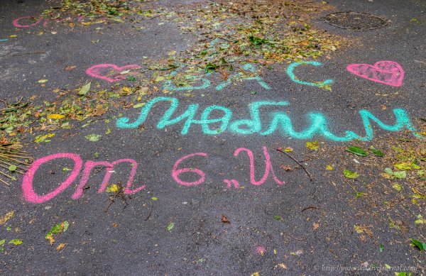 Я вас очень люблю