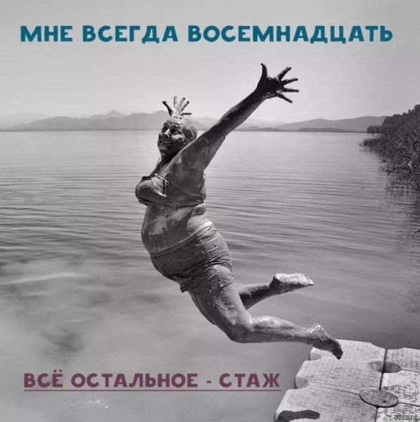 Собака прыгает в море