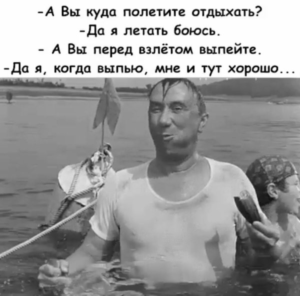 Рыжий кот в прыжке