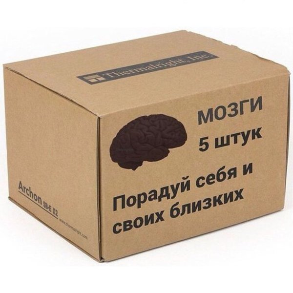 Мозг в коробочке