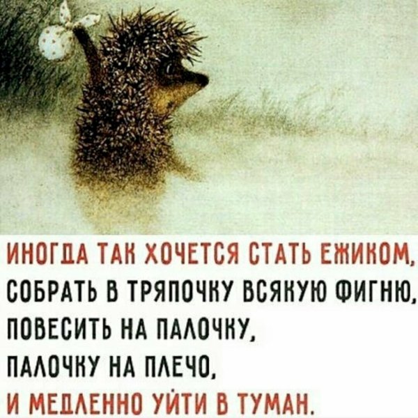 Ёжик в тумане с узелком