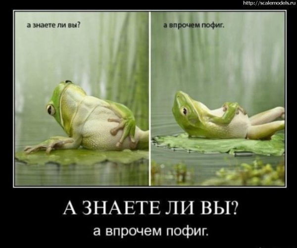 Демотиваторы пофиг