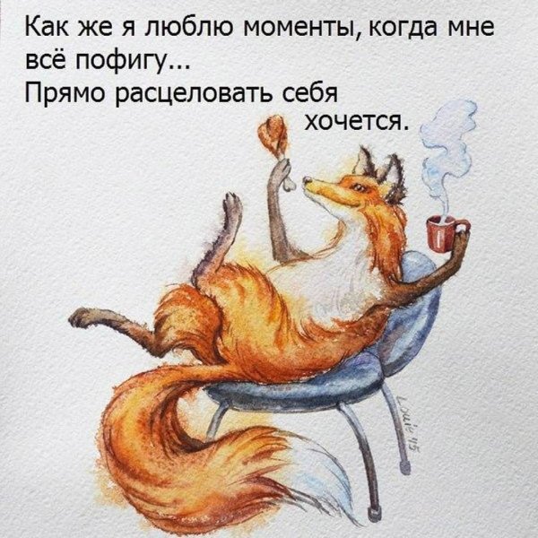 Смешные фразы про пофигистов