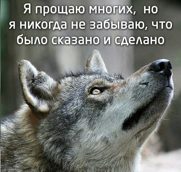 Прости фото