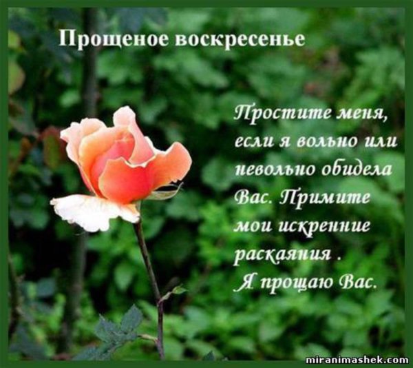 Прости меня