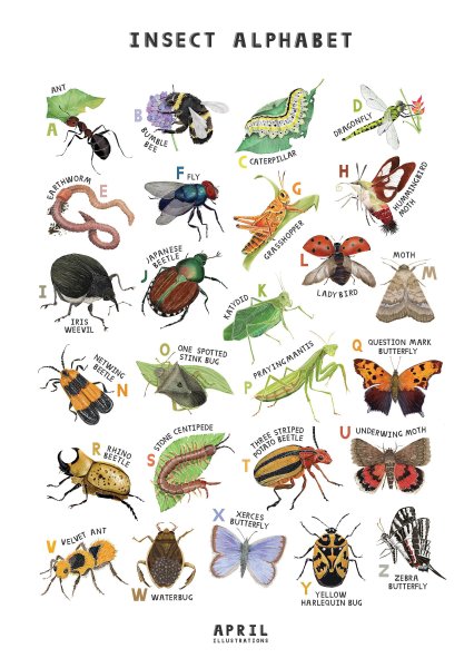 Картинки с надписью азбука насекомых от а до я вх (45 фото)