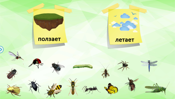Оса карточка для детей