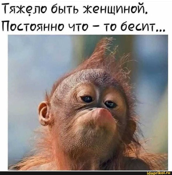 Жутко бесит хочется взять и