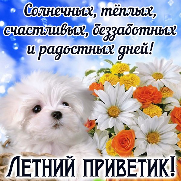 Открытки приветик