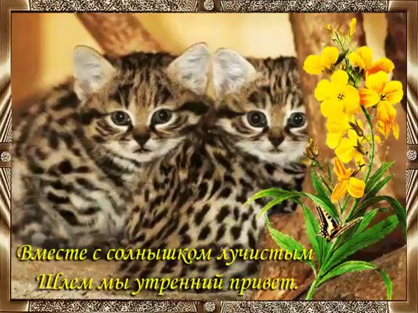 Большой привет от меня мужчине