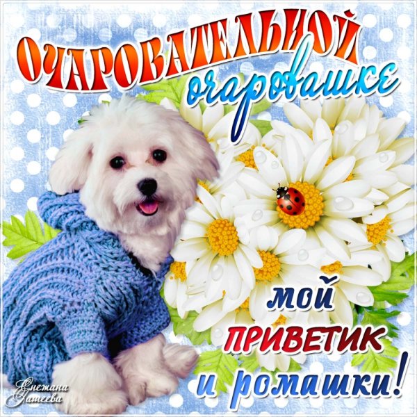 Приветик тебе букетик