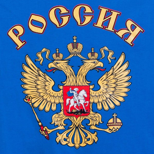 Флаг России с медведем