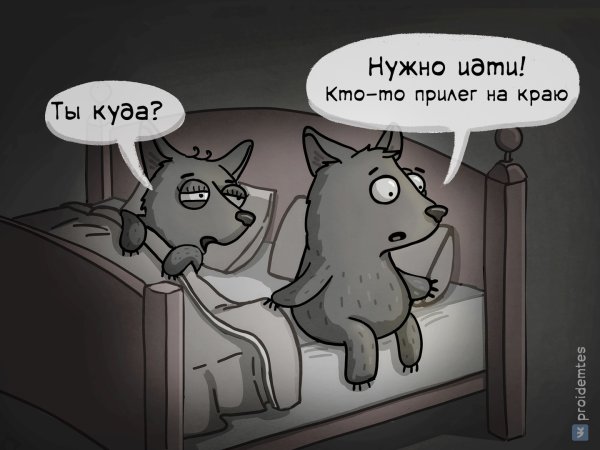 Серенький волчок