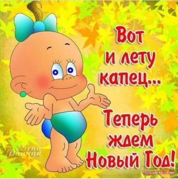 Приколы про диеты и похудение