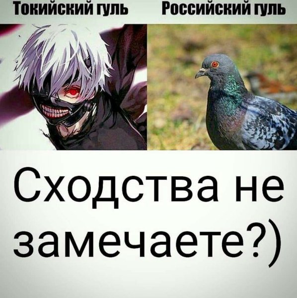 Токийский гуль приколы