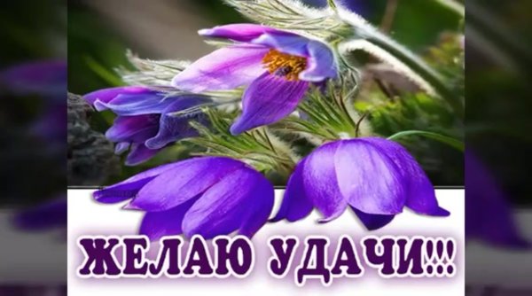 Открытка желаю удачи