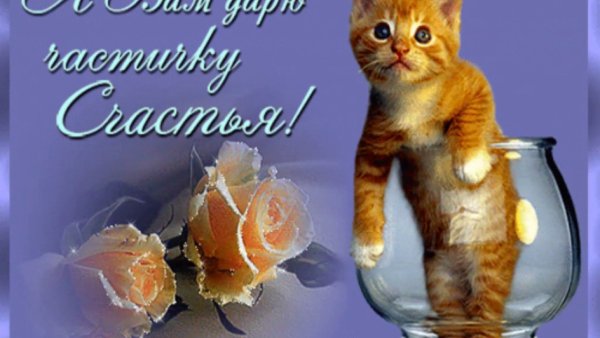 Дарю вам счастье