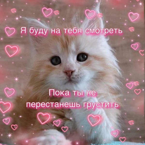 Прости меня