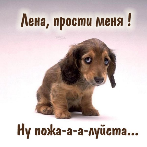 Котеночек обиделся
