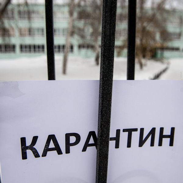 Мемисы про короновирус