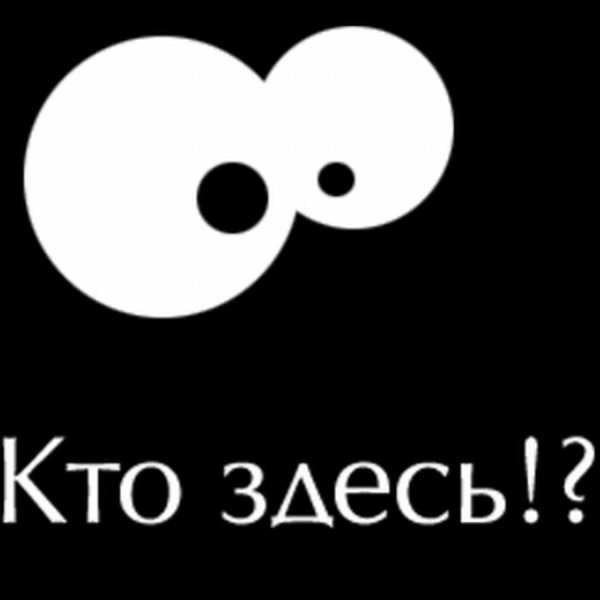 Кто здесь картинки прикольные