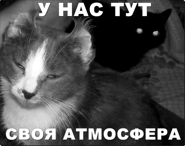 У нас тут весело